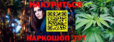 прущие грибы Ставрополь