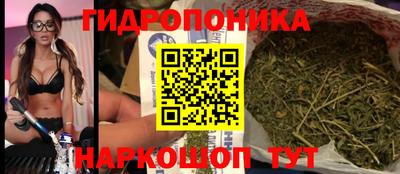 прущие грибы Ставрополь